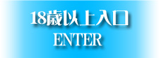 18歳以上入口